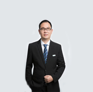 宋志平